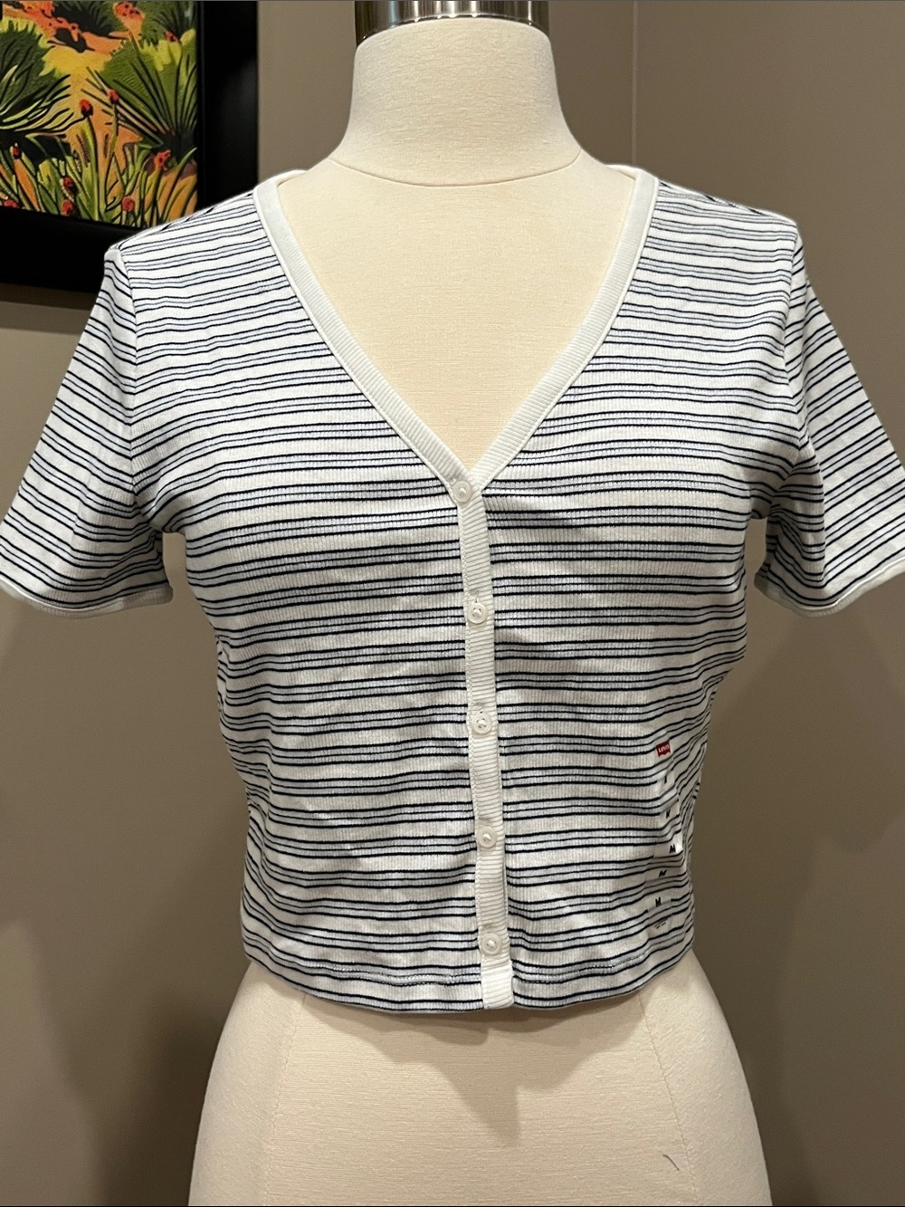Levi's White & Navy Striped V-Neck Button-Front Crop Top